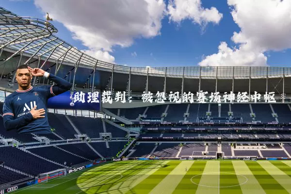 助理裁判：被忽视的赛场神经中枢